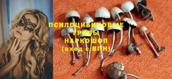 герыч Надым