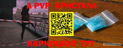 шишки Шахты