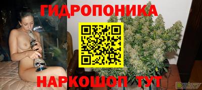 шишки Шахты