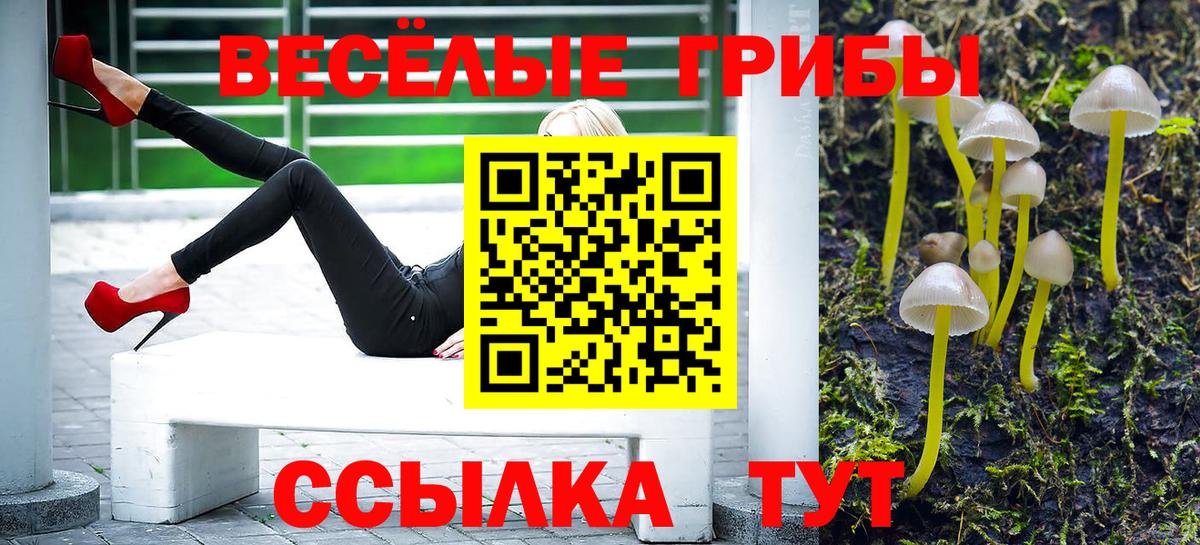 Галлюциногенные грибы Cubensis Североуральск